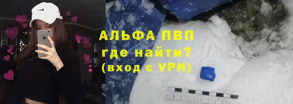 стафф Алексин