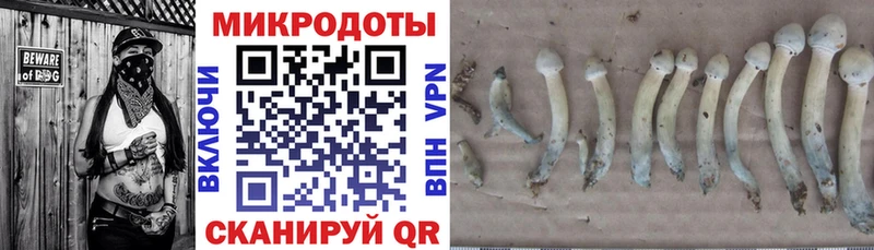 Галлюциногенные грибы MAGIC MUSHROOMS  Зеленокумск 